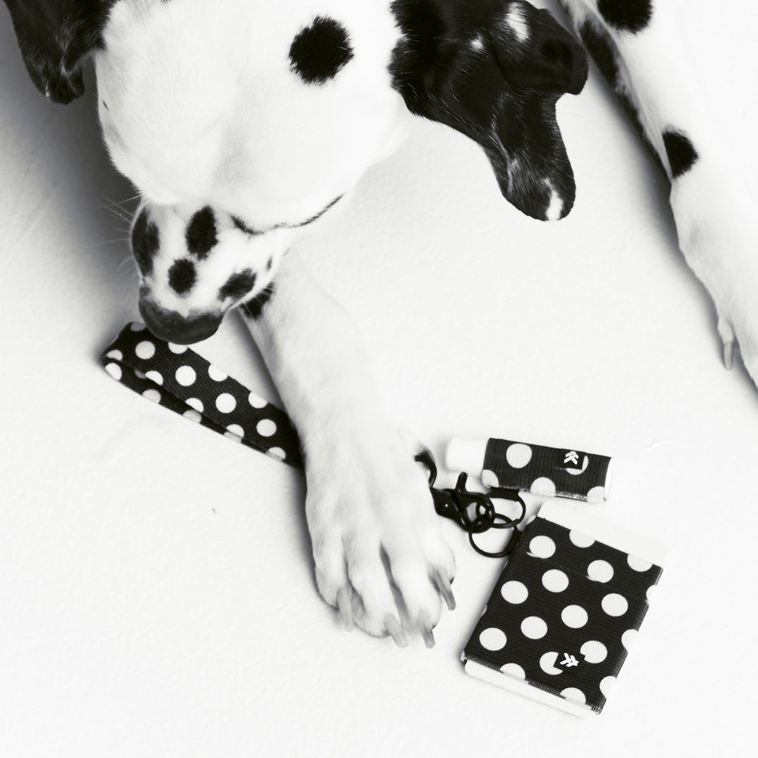 Polka Dot - Chapstick Holder Keychain - Image 3